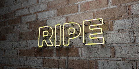 RIPE - Glowing Neon Sign on stonework wall - 3D rendered royalty free stock illustration.  Can be used for online banner ads and direct mailers..