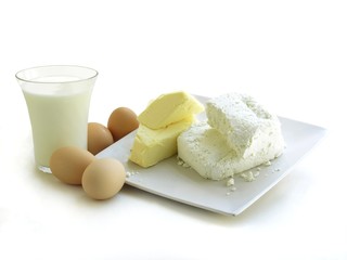 dairy products