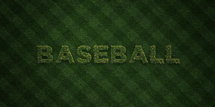 BASEBALL - fresh Grass letters with flowers and dandelions - 3D rendered royalty free stock image. Can be used for online banner ads and direct mailers..