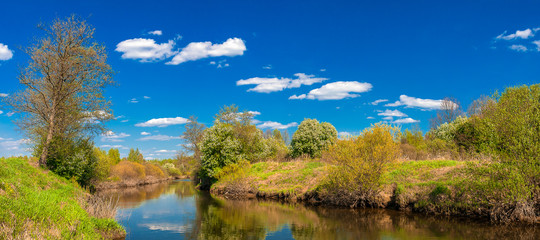 Fototapeta premium Summer green river landscape.