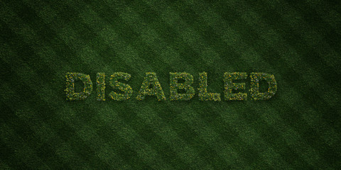 DISABLED - fresh Grass letters with flowers and dandelions - 3D rendered royalty free stock image. Can be used for online banner ads and direct mailers..