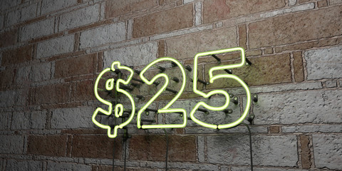 $25 - Glowing Neon Sign on stonework wall - 3D rendered royalty free stock illustration.  Can be used for online banner ads and direct mailers..