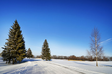 Beautiful winter landscape on sunny day