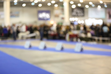 Interior of room prepared for dog show, blurred view