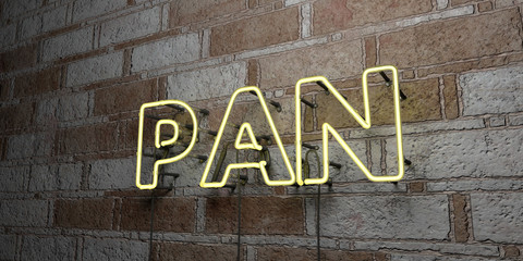 PAN - Glowing Neon Sign on stonework wall - 3D rendered royalty free stock illustration.  Can be used for online banner ads and direct mailers..