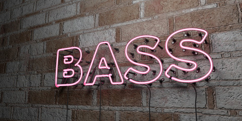 BASS - Glowing Neon Sign on stonework wall - 3D rendered royalty free stock illustration.  Can be used for online banner ads and direct mailers..
