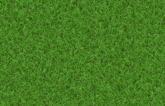 textur grüner rasen texture green lawn