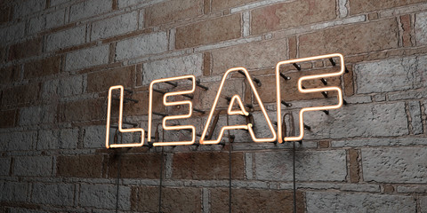 LEAF - Glowing Neon Sign on stonework wall - 3D rendered royalty free stock illustration.  Can be used for online banner ads and direct mailers..
