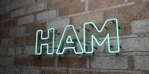 HAM - Glowing Neon Sign on stonework wall - 3D rendered royalty free stock illustration.  Can be used for online banner ads and direct mailers..