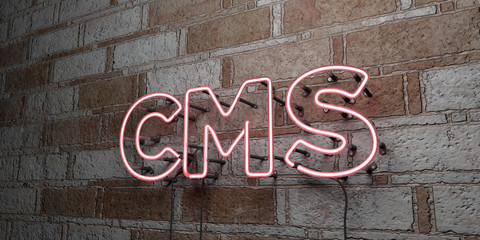 CMS - Glowing Neon Sign on stonework wall - 3D rendered royalty free stock illustration.  Can be used for online banner ads and direct mailers..