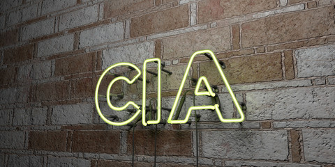 CIA - Glowing Neon Sign on stonework wall - 3D rendered royalty free stock illustration.  Can be used for online banner ads and direct mailers..