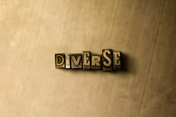 DIVERSE - close-up of grungy vintage typeset word on metal backdrop. Royalty free stock - 3D rendered stock image.  Can be used for online banner ads and direct mail.