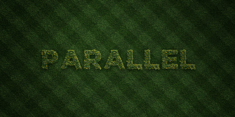 PARALLEL - fresh Grass letters with flowers and dandelions - 3D rendered royalty free stock image. Can be used for online banner ads and direct mailers..
