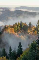 Morning mists in morning Pieniny mountains, autumn, Poland