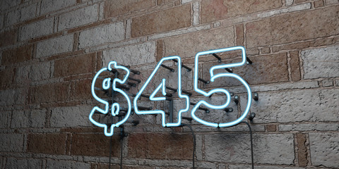 $45 - Glowing Neon Sign on stonework wall - 3D rendered royalty free stock illustration.  Can be used for online banner ads and direct mailers..