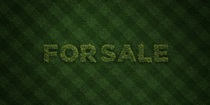 FOR SALE - fresh Grass letters with flowers and dandelions - 3D rendered royalty free stock image. Can be used for online banner ads and direct mailers..