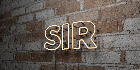 SIR - Glowing Neon Sign on stonework wall - 3D rendered royalty free stock illustration.  Can be used for online banner ads and direct mailers..