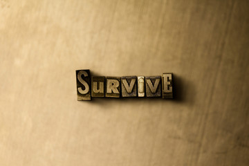 SURVIVE - close-up of grungy vintage typeset word on metal backdrop. Royalty free stock - 3D rendered stock image.  Can be used for online banner ads and direct mail.