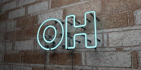OH - Glowing Neon Sign on stonework wall - 3D rendered royalty free stock illustration.  Can be used for online banner ads and direct mailers..