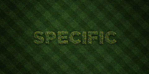 SPECIFIC - fresh Grass letters with flowers and dandelions - 3D rendered royalty free stock image. Can be used for online banner ads and direct mailers..