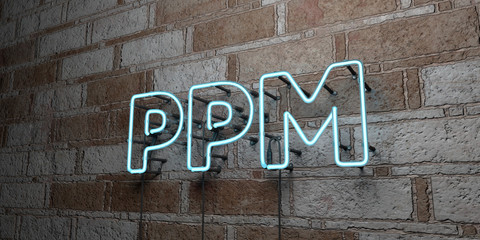 PPM - Glowing Neon Sign on stonework wall - 3D rendered royalty free stock illustration.  Can be used for online banner ads and direct mailers..