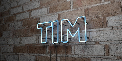 TIM - Glowing Neon Sign on stonework wall - 3D rendered royalty free stock illustration.  Can be used for online banner ads and direct mailers..