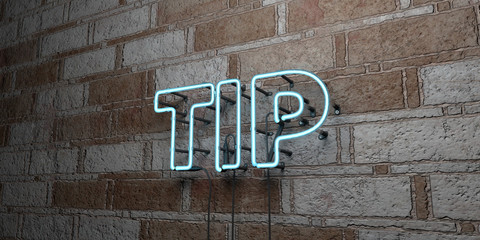 TIP - Glowing Neon Sign on stonework wall - 3D rendered royalty free stock illustration.  Can be used for online banner ads and direct mailers..