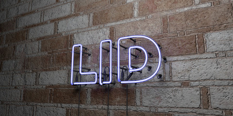 LID - Glowing Neon Sign on stonework wall - 3D rendered royalty free stock illustration.  Can be used for online banner ads and direct mailers..