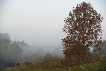 Beautiful foggy landscape