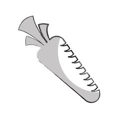 carrot fresh vegetable isolated icon vector illustration design