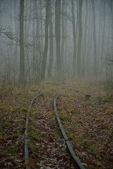 Droga i tory kolejowe w mglistym lesie.