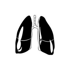 Lungs Human anatomy. hand drawn vector illustartion isolated on a white