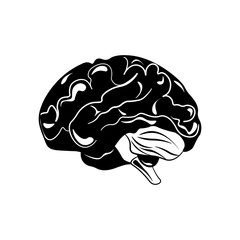 Brain hand drawn isolated on a white. Vector illustration