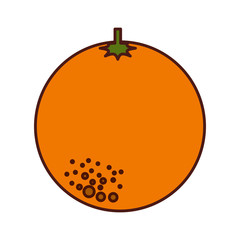 orange fresh fruit drawing icon vector illustration design