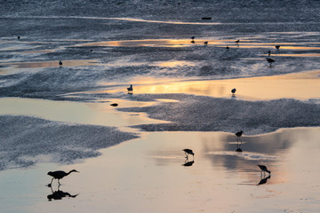 sharing the magic moment