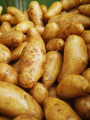 market organic potatoes