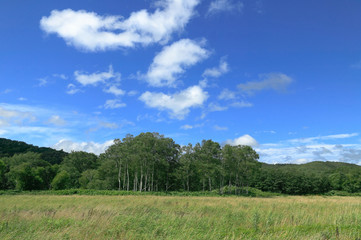 Fototapeta na wymiar 草原の風景　青空と雲