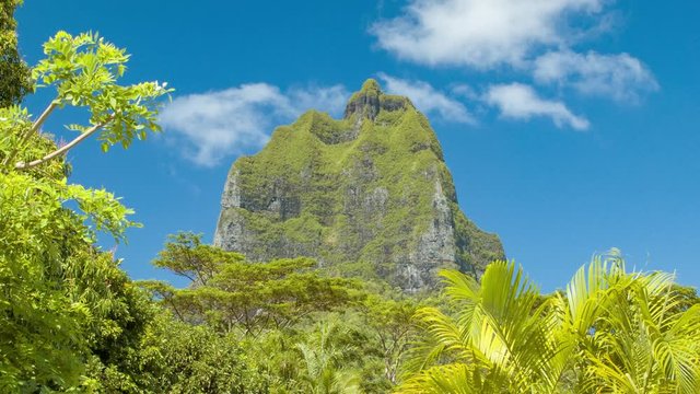 Majestic Moua Puta Mountain in Tropical Nature Setting on Moorea Island in French Polynesia of the Exotic South Pacific