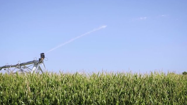 Agriculture Shot of Water Spraying from Farm Sprinkler with Blue Sky Background