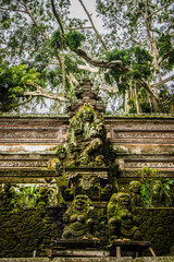 Naklejka premium Overgrown Temple