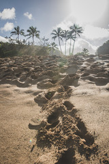 Walking in the Sand