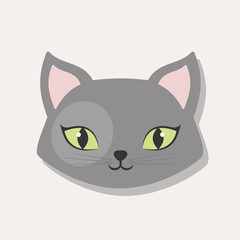 cat pet related icon image vector illustration design 