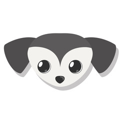 dog pet related icon image vector illustration design 