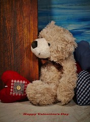 A teddy bear and a red heart. Teddy bear as a gift for Valentine. Happy Valentines day - vintage style - soft focus
