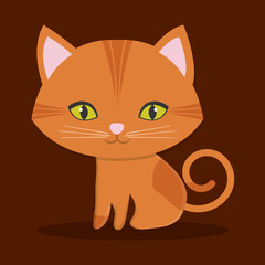 cat pet icon image vector illustration design 