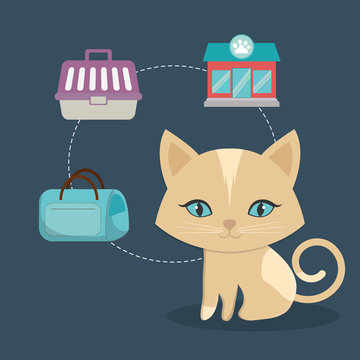 cat pet care icon image vector illustration design 