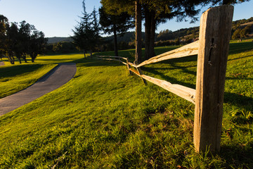 Wooden fence along a walking path with grass