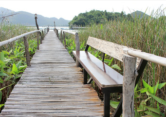 Obraz premium bamboo bridge walkway to lake on green field