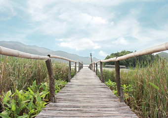 Fototapeta premium bamboo bridge walkway to lake on green field