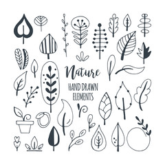Leaves and green nature hand drawn elements for graphic and web
